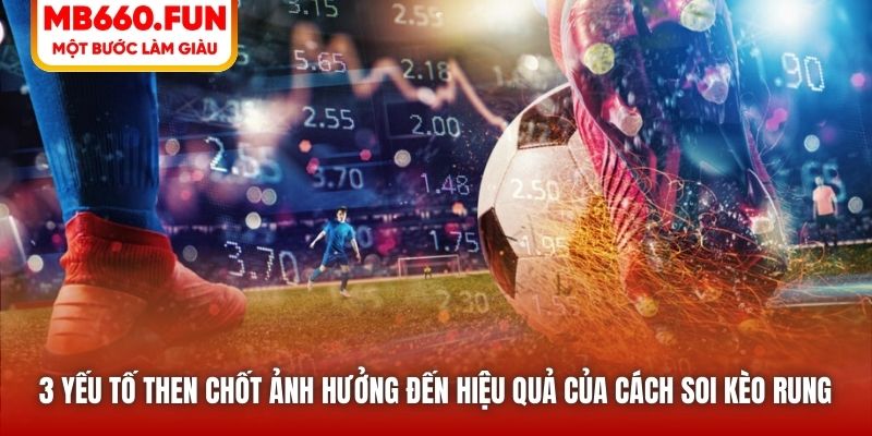 3 yếu tố then chốt ảnh hưởng đến hiệu quả của cách soi kèo rung