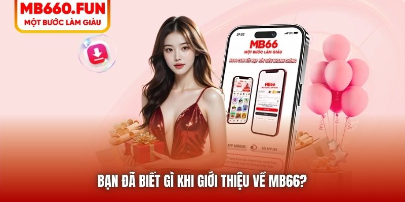 Bạn đã biết gì khi giới thiệu về MB66?