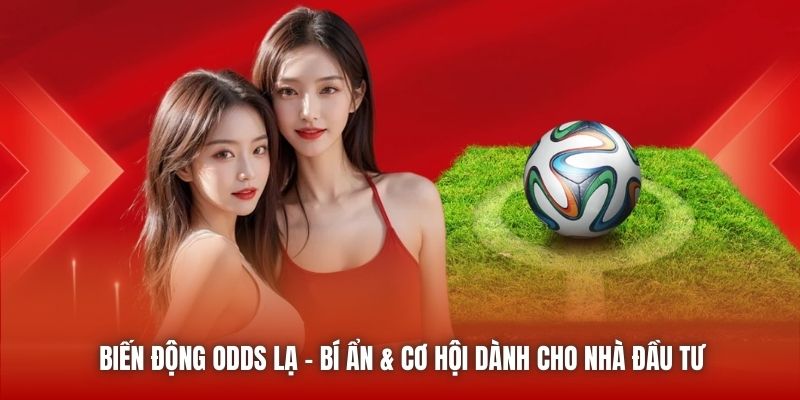 Biến Động Odds Lạ | Bí Ẩn & Cơ Hội Dành Cho Nhà Đầu Tư