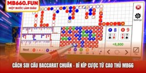 Cách Soi Cầu Baccarat Chuẩn - Bí Kíp Cược Từ Cao Thủ MB66