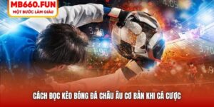 Cách Đọc Kèo Bóng Đá Châu Âu Cơ Bản Khi Cá Cược