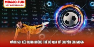 Cách Soi Kèo Rung Không Thể Bỏ Qua Từ Chuyên Gia MB66