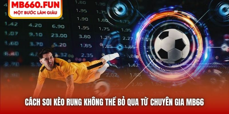 Cách Soi Kèo Rung Không Thể Bỏ Qua Từ Chuyên Gia MB66