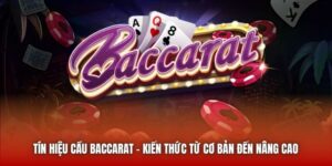 Tín Hiệu Cầu Baccarat | Kiến Thức Từ Cơ Bản Đến Nâng Cao