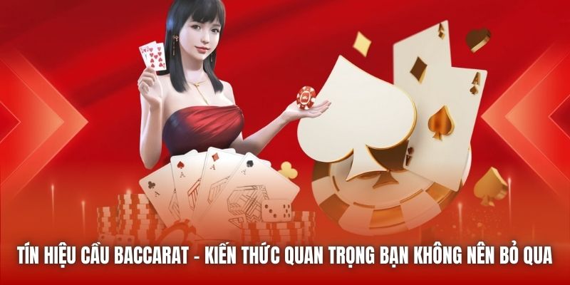 Tín hiệu cầu Baccarat - kiến thức quan trọng bạn không nên bỏ qua